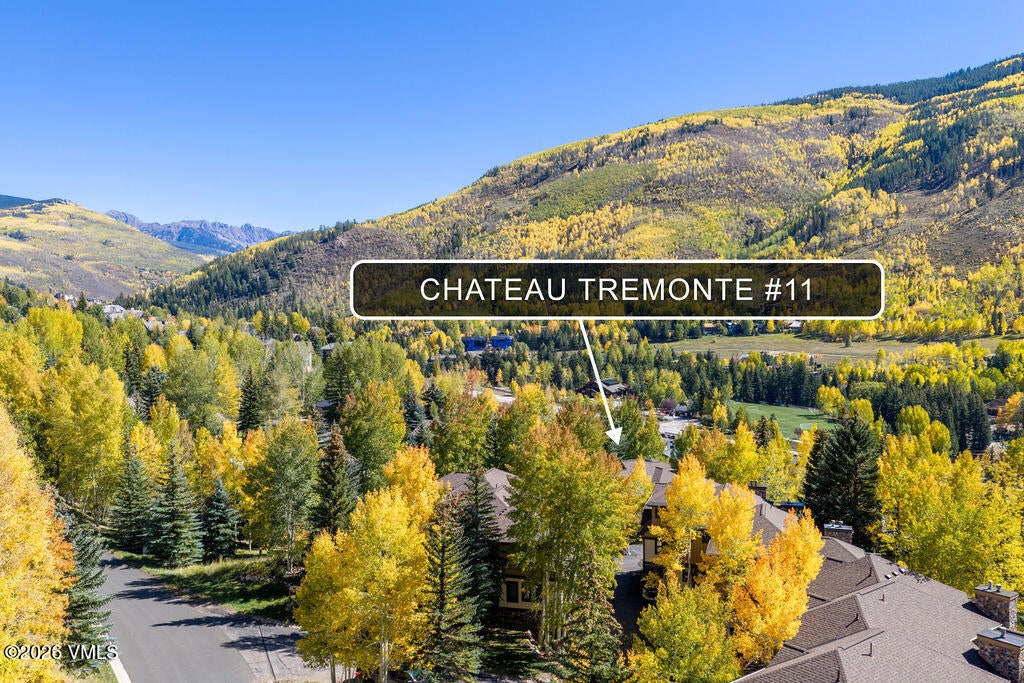 Photo of 1890 Lions Ridge Loop #11, Vail, CO 81657 (MLS # 1015309)