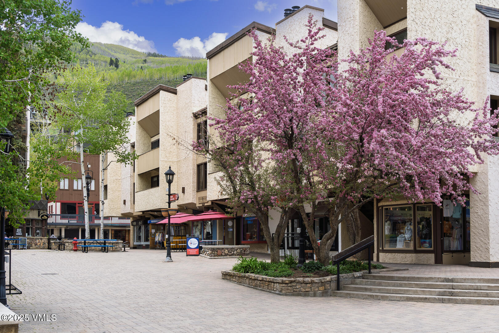 Vail, Colorado 81657, United States, 2 Bedrooms Bedrooms, ,2 BathroomsBathrooms,Residential,Active,139219