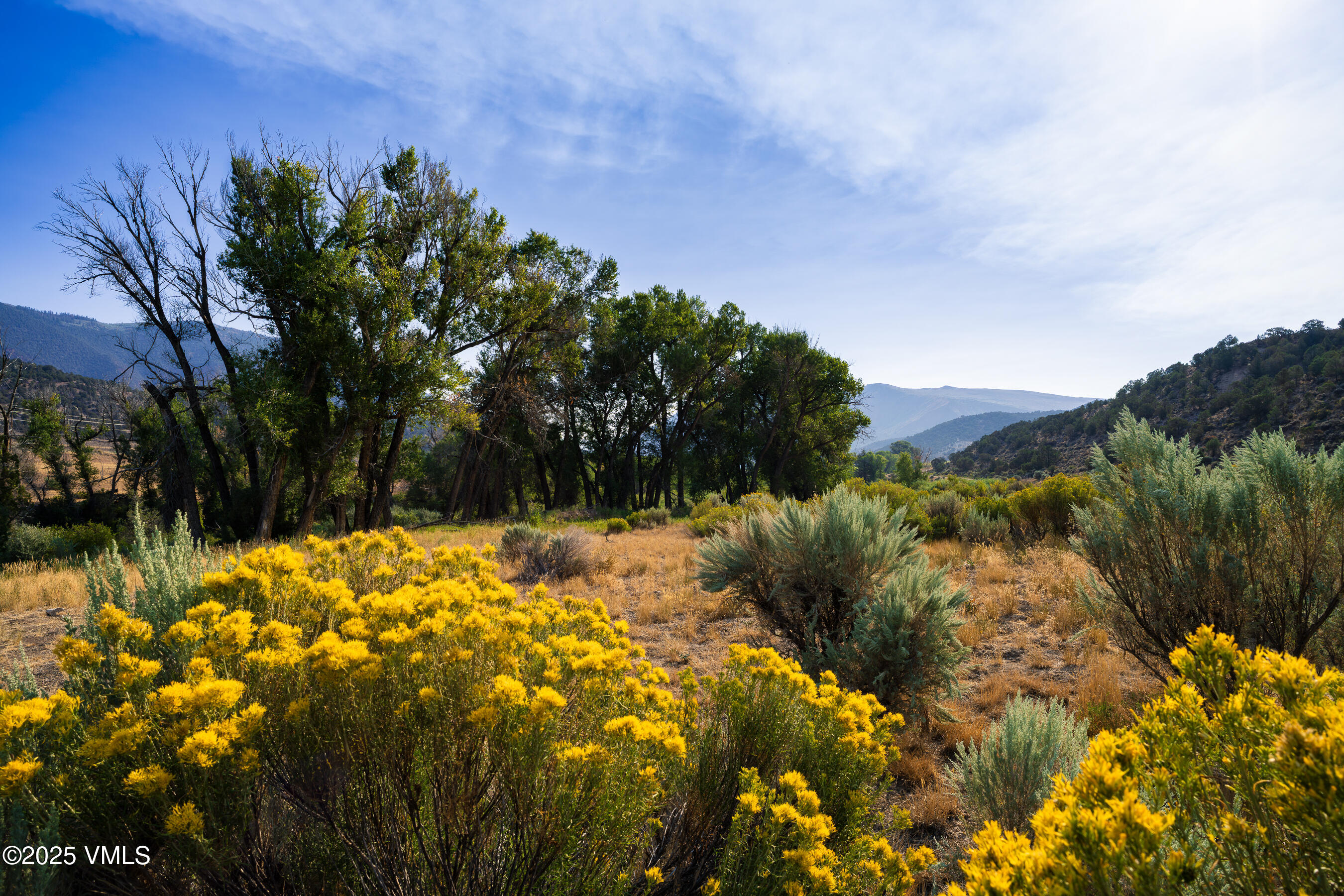 Eagle, Colorado 81631, United States, ,Land,Active,202507