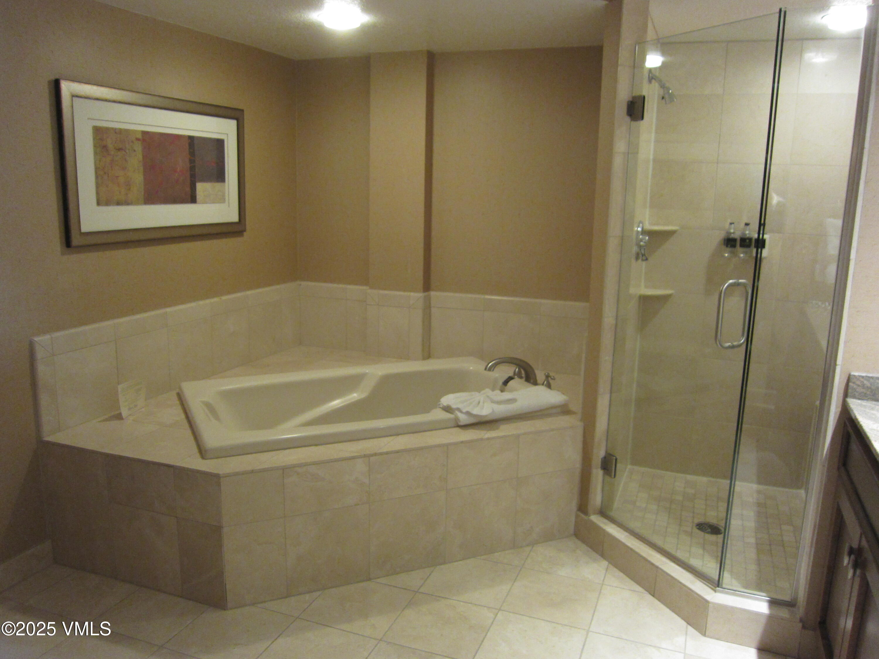 Beaver Creek, Colorado 81620, United States, 1 Bedroom Bedrooms, ,2 BathroomsBathrooms,Residential,Active,243008