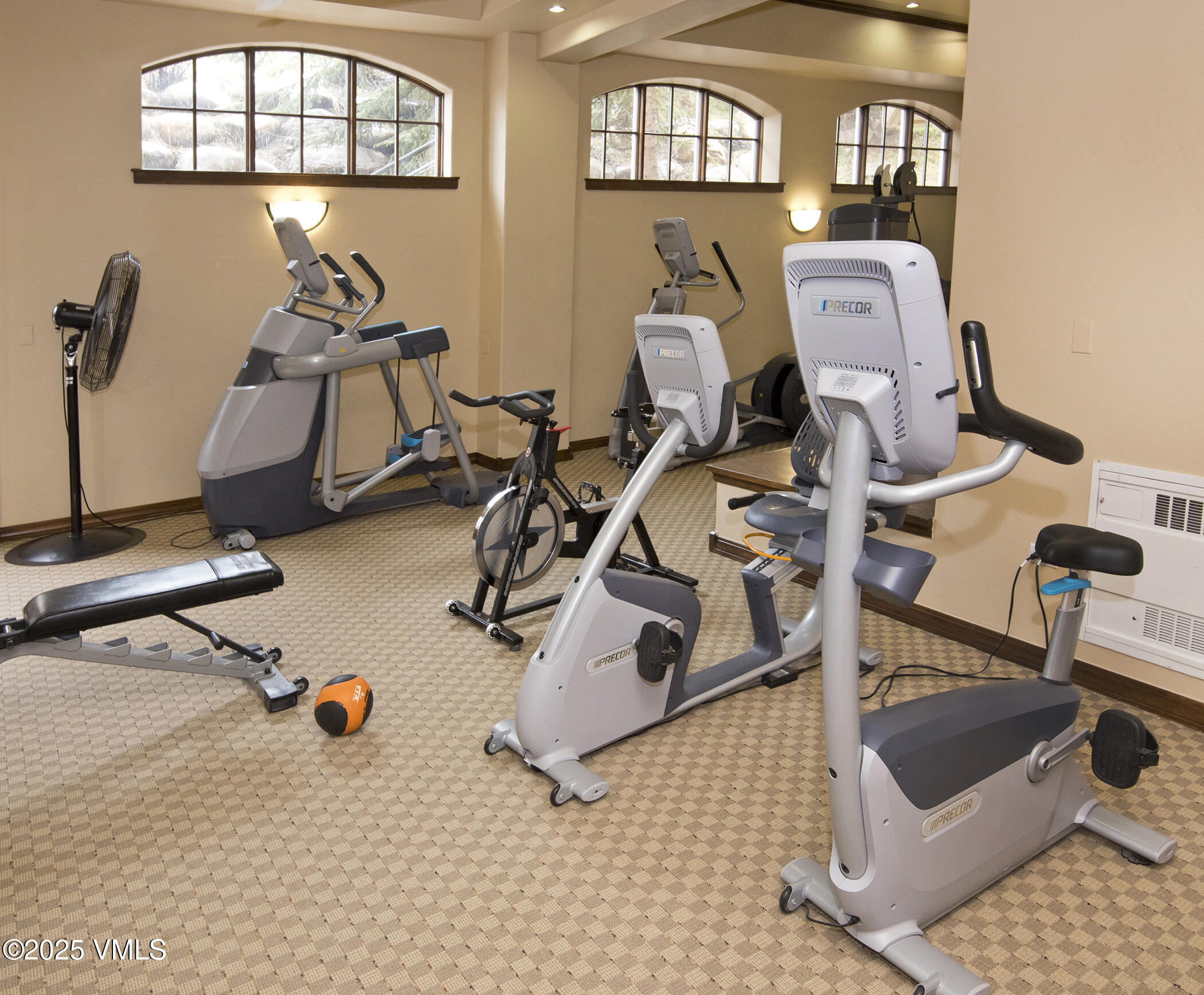 Beaver Creek, Colorado 81620, United States, 1 Bedroom Bedrooms, ,2 BathroomsBathrooms,Residential,Active,243008