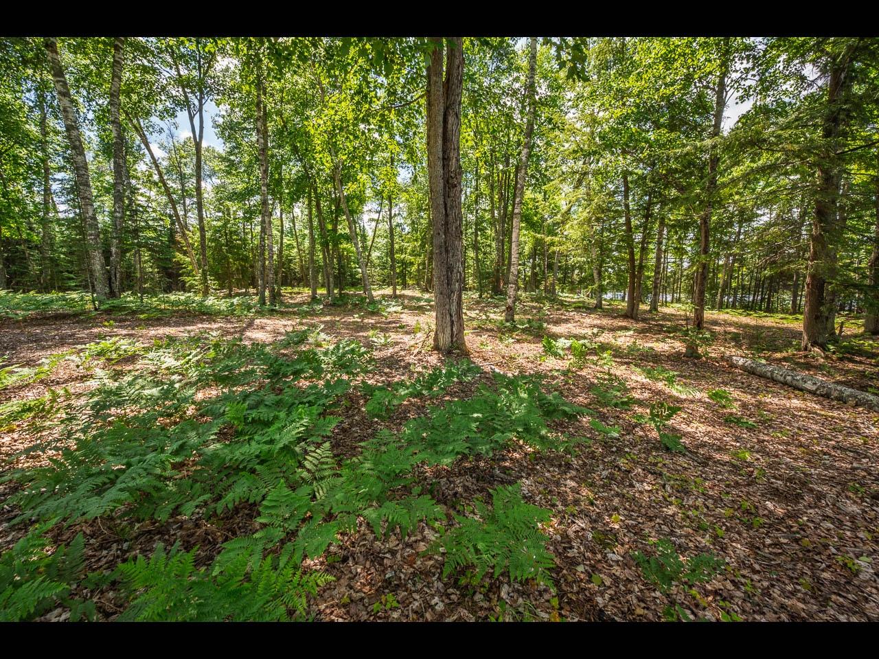 Lot 165 CLEARWATER LAKE TR