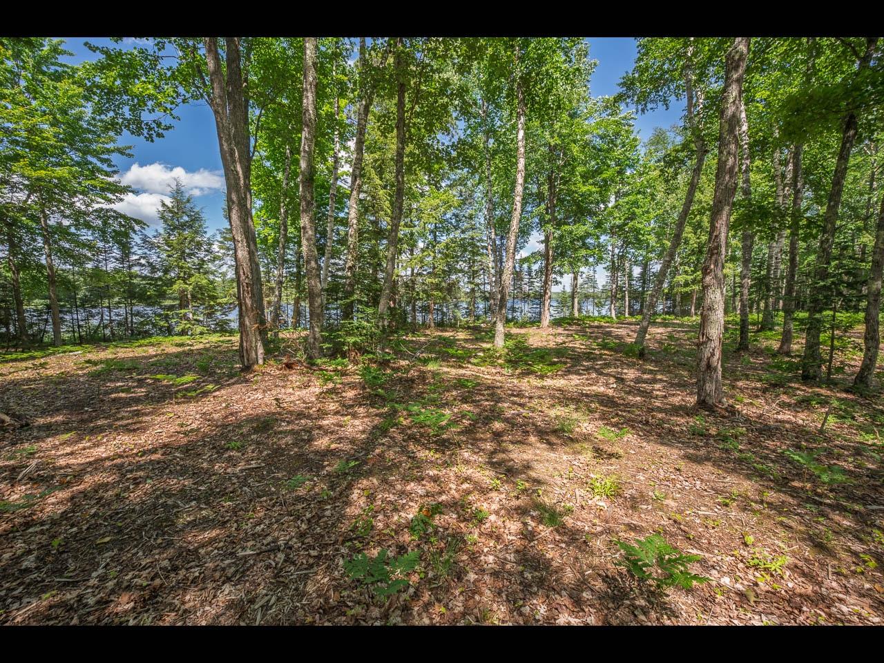 Lot 165 CLEARWATER LAKE TR