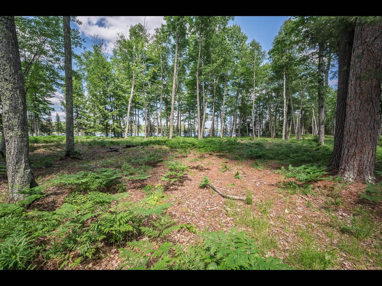Lot 165 CLEARWATER LAKE TR