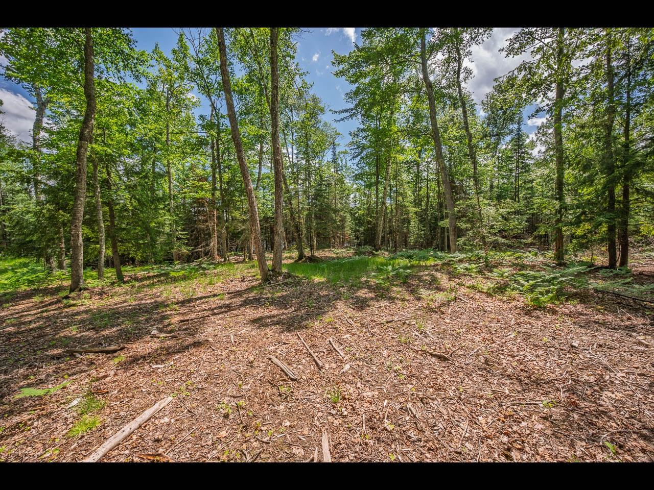 Lot 165 CLEARWATER LAKE TR
