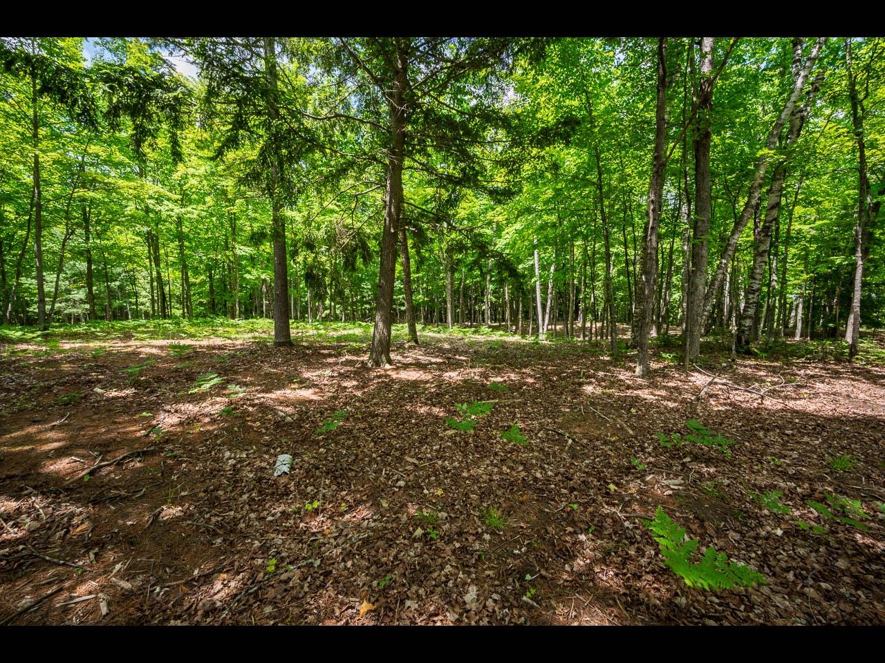 Lot 135 CLEARWATER LAKE TR