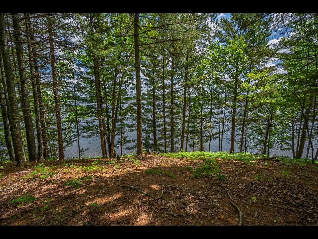 Lot 135 CLEARWATER LAKE TR