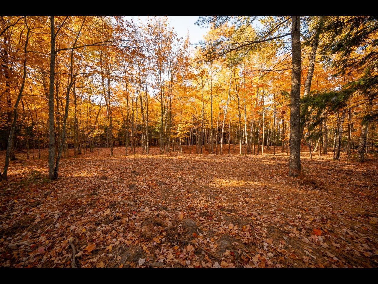 Lot 135 CLEARWATER LAKE TR