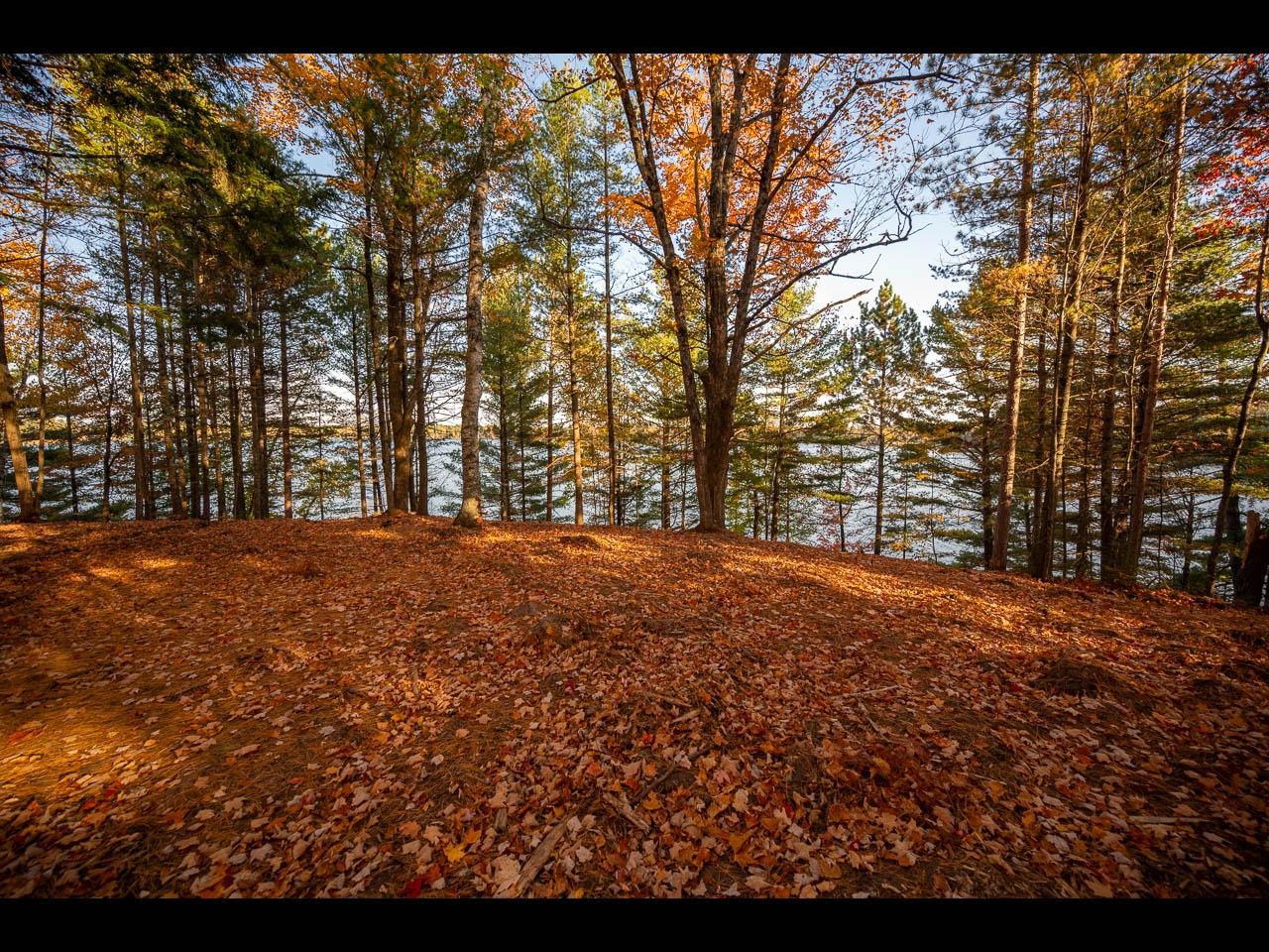 Lot 135 CLEARWATER LAKE TR