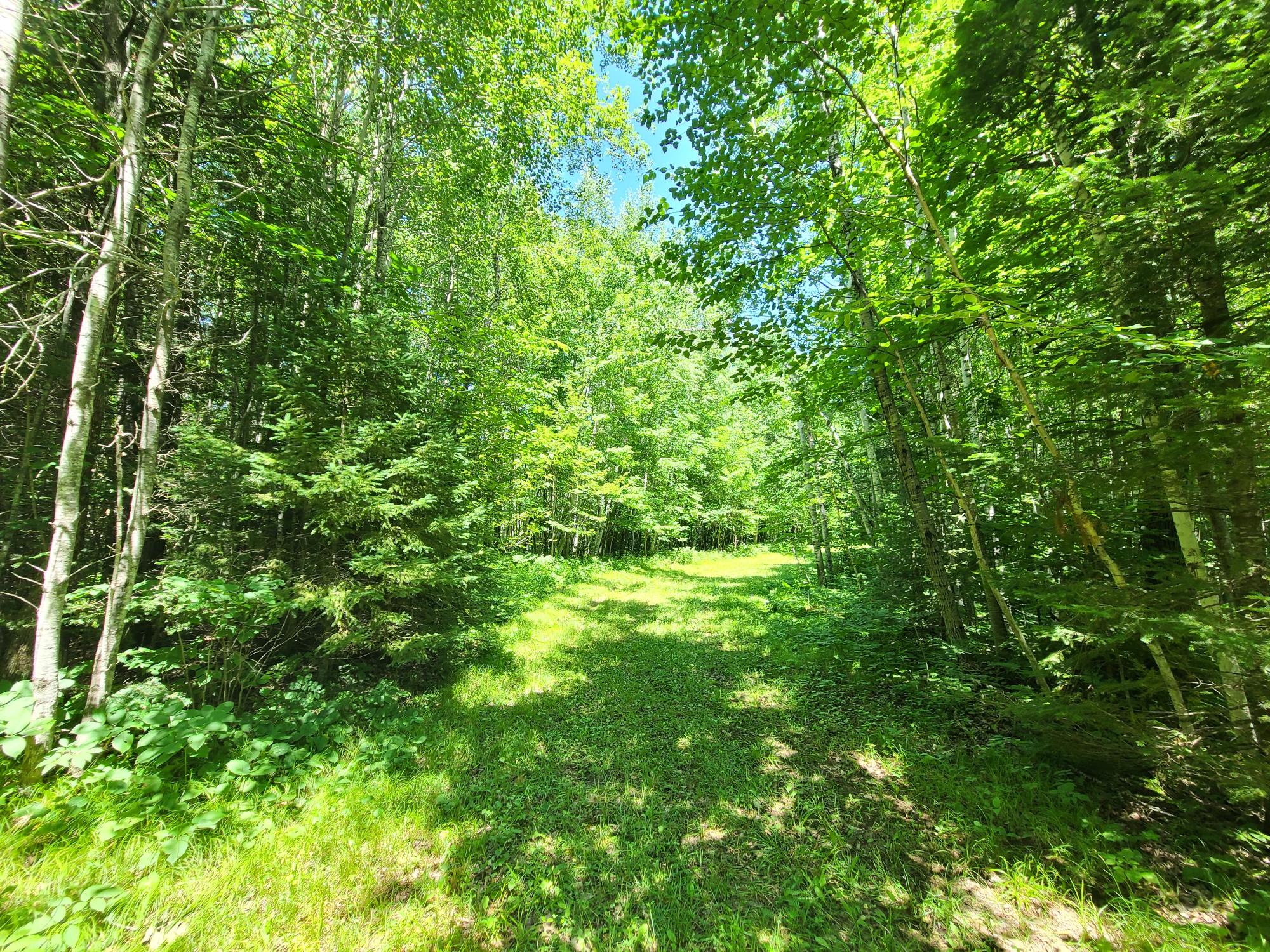 ON SIMON RD 78Acres