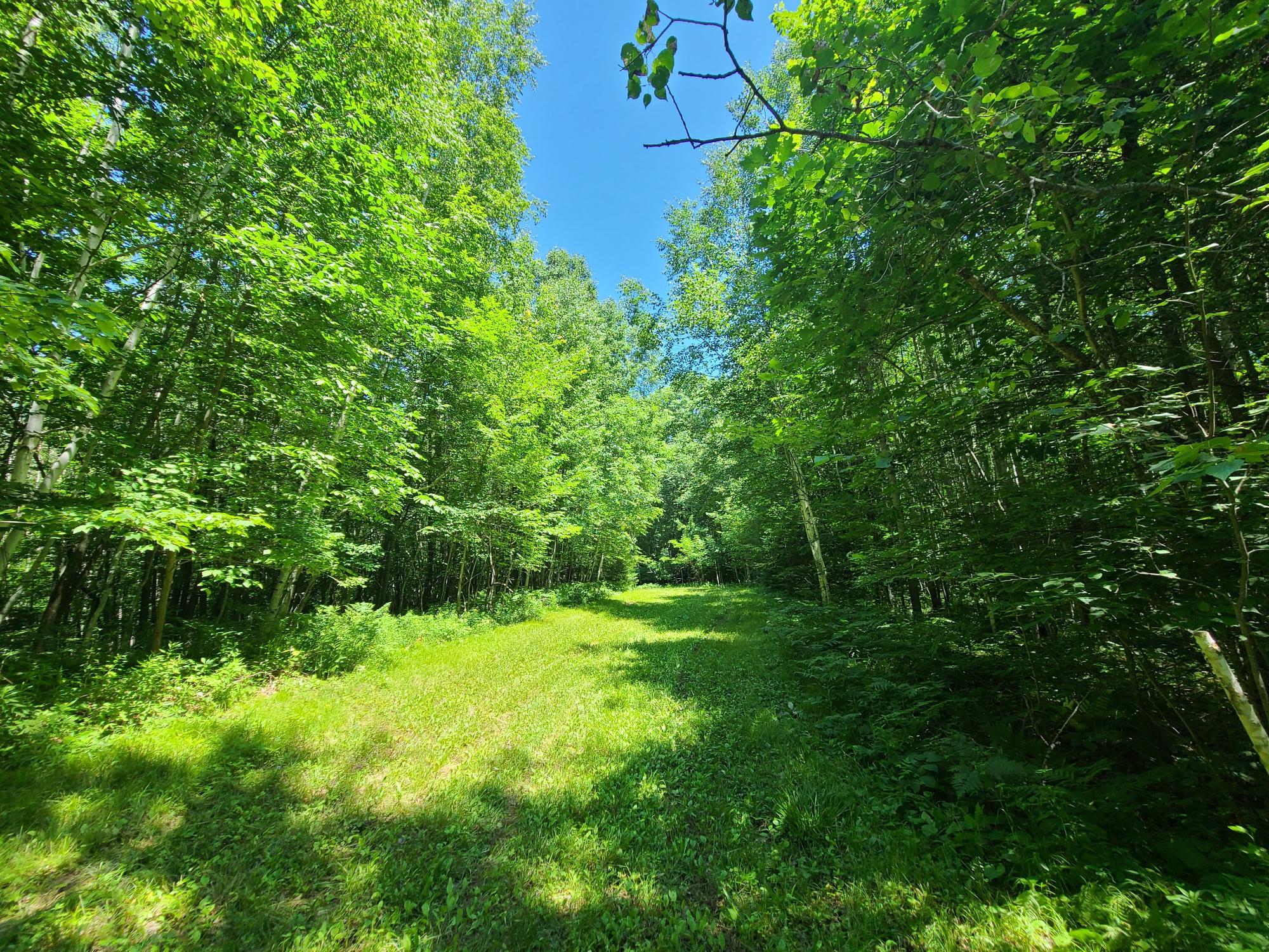 ON SIMON RD 78Acres