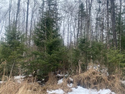 ON HWY 64 Merrill WI 54452