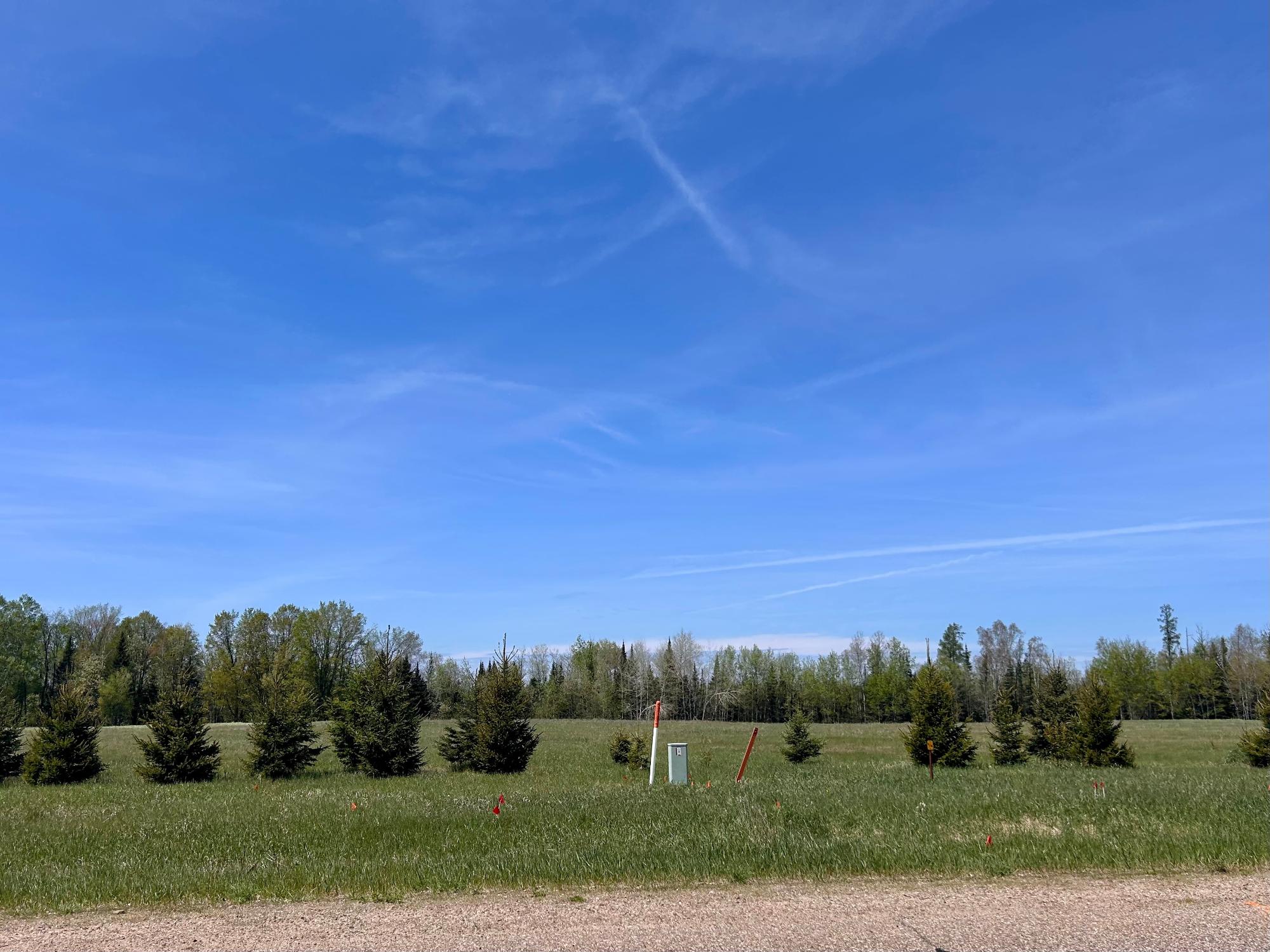 ON HWY 55 37.15 ACRE