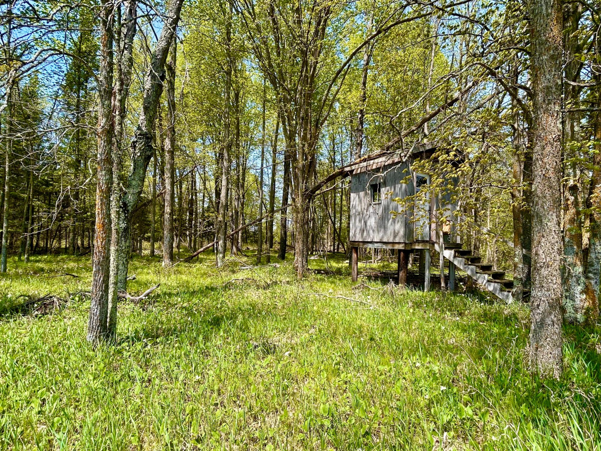 ON HWY 55 37.15 ACRE