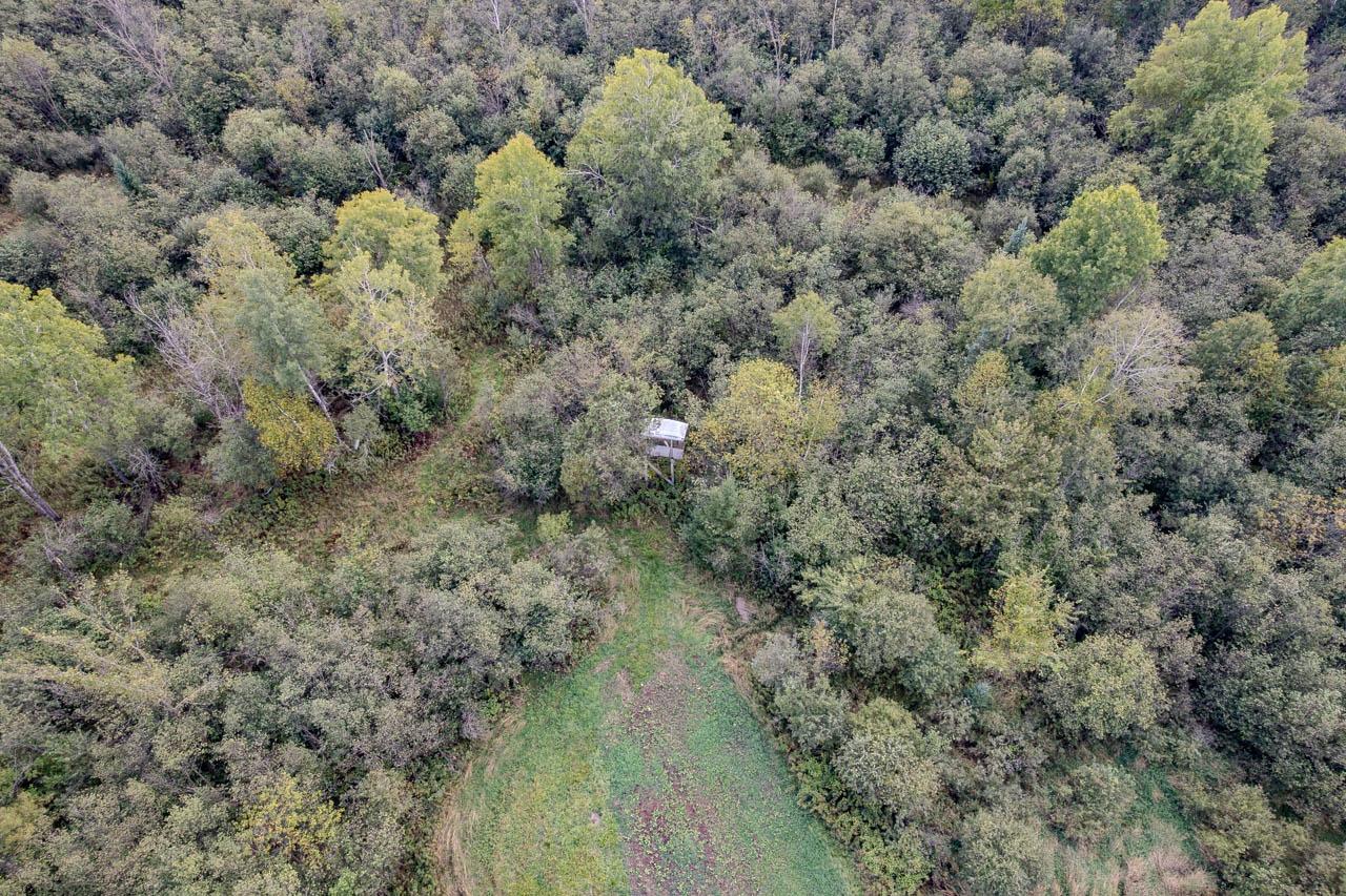40 Acres LINCOLN DR