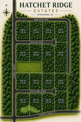 HATCHET LN, WOODRUFF, WI 54568 - Image 0bd85fedd9c7dd3d3db49779cdcd0896/1053401391