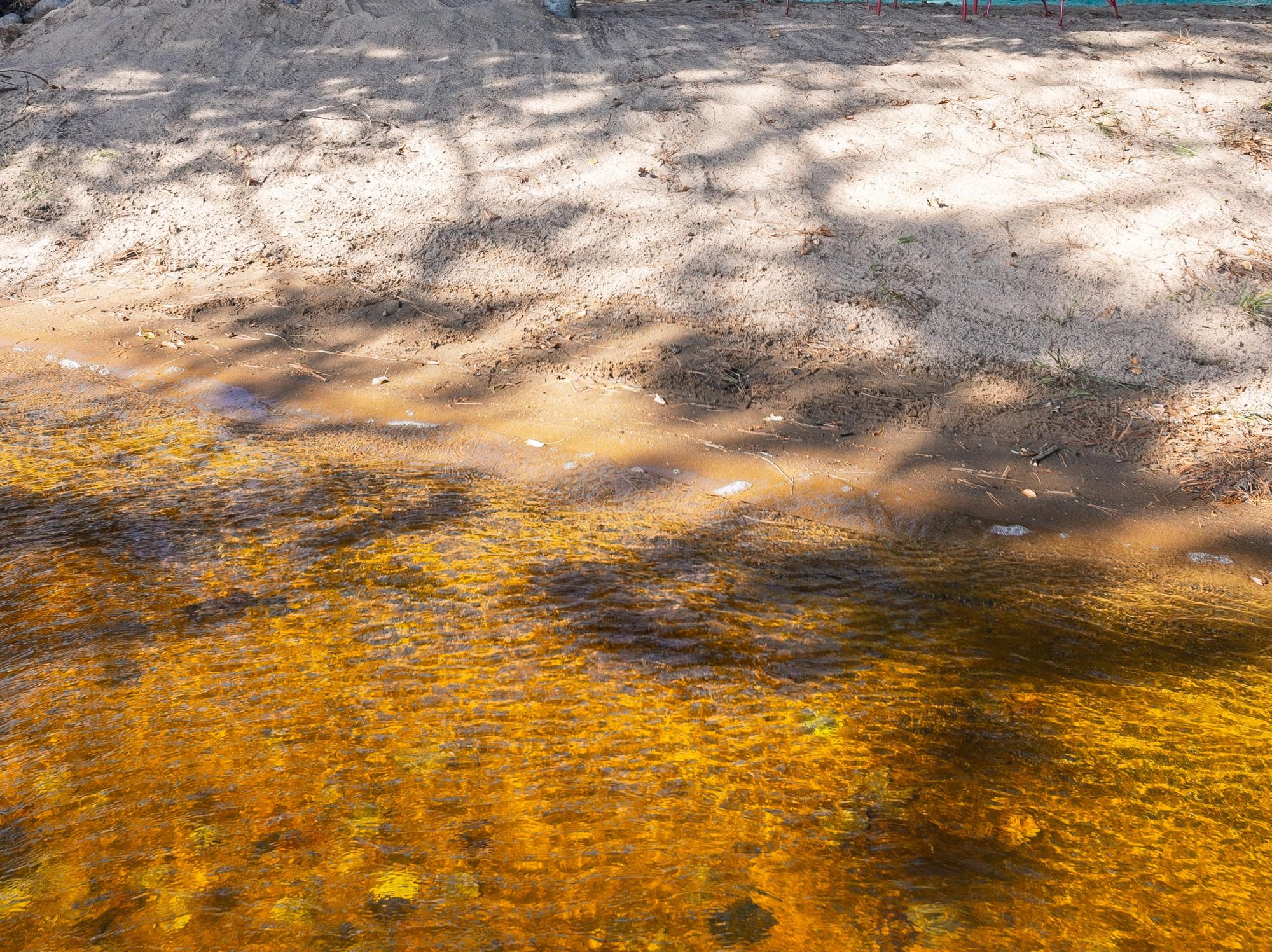 7670 WHEELER ISLAND RD