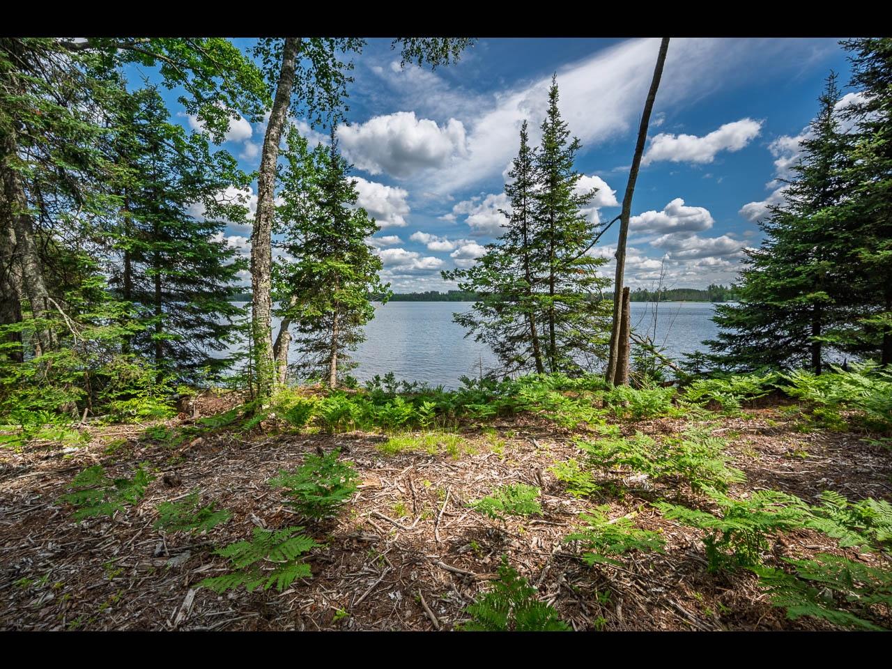Lot 138 CLEARWATER LAKE TR