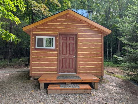 251 TAMARACK LAKE RD Iron River MI 49935