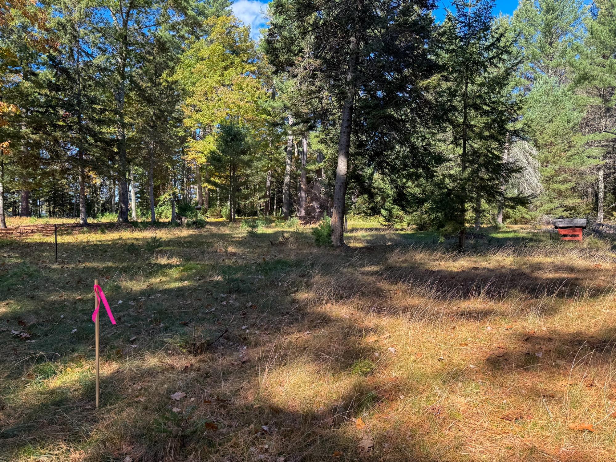 Lot 1 BEAR RUN LN