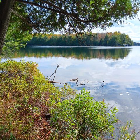 ON HEWITT LN Lot 20 Oma WI 54547