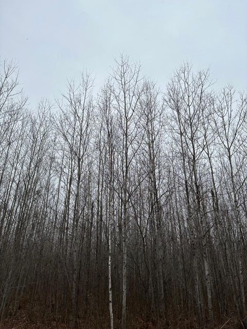 ON BURROWS LAKE RD 4067-I Tomahawk WI 54487