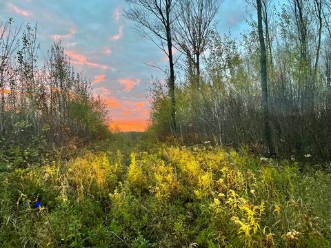 ON MUSSER DR Phillips WI 54555