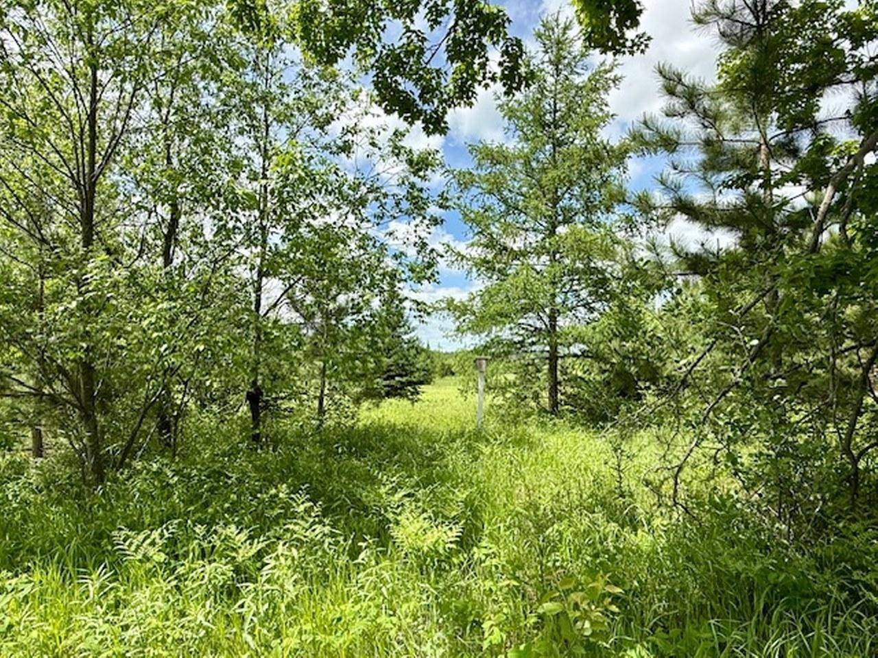 59.6 A HWY 55