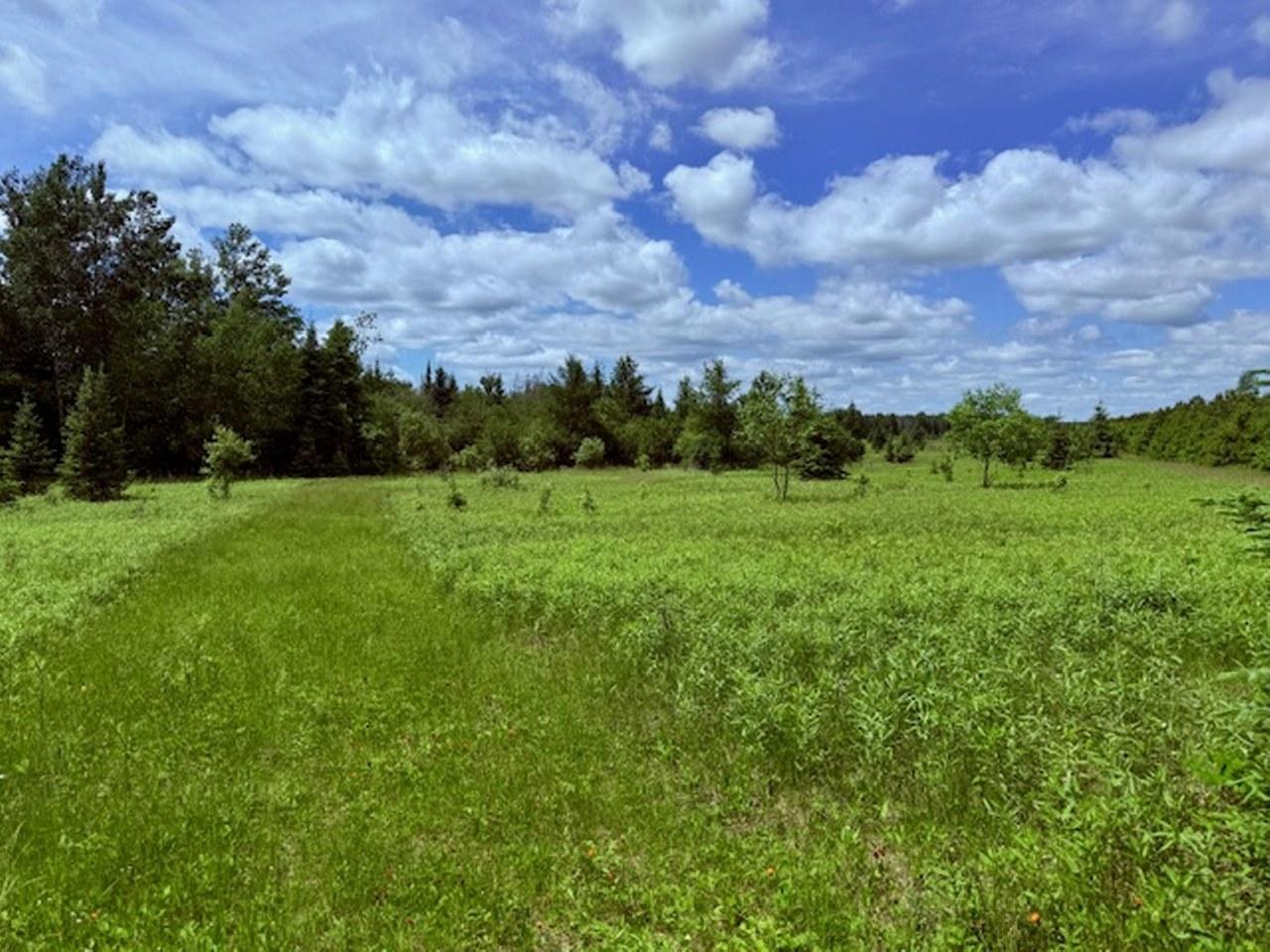 59.6 A HWY 55