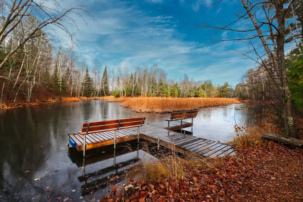 9335 LITTLE BEARSKIN CREEK RD