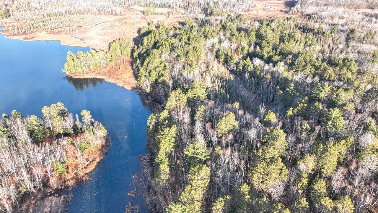 9335 LITTLE BEARSKIN CREEK RD