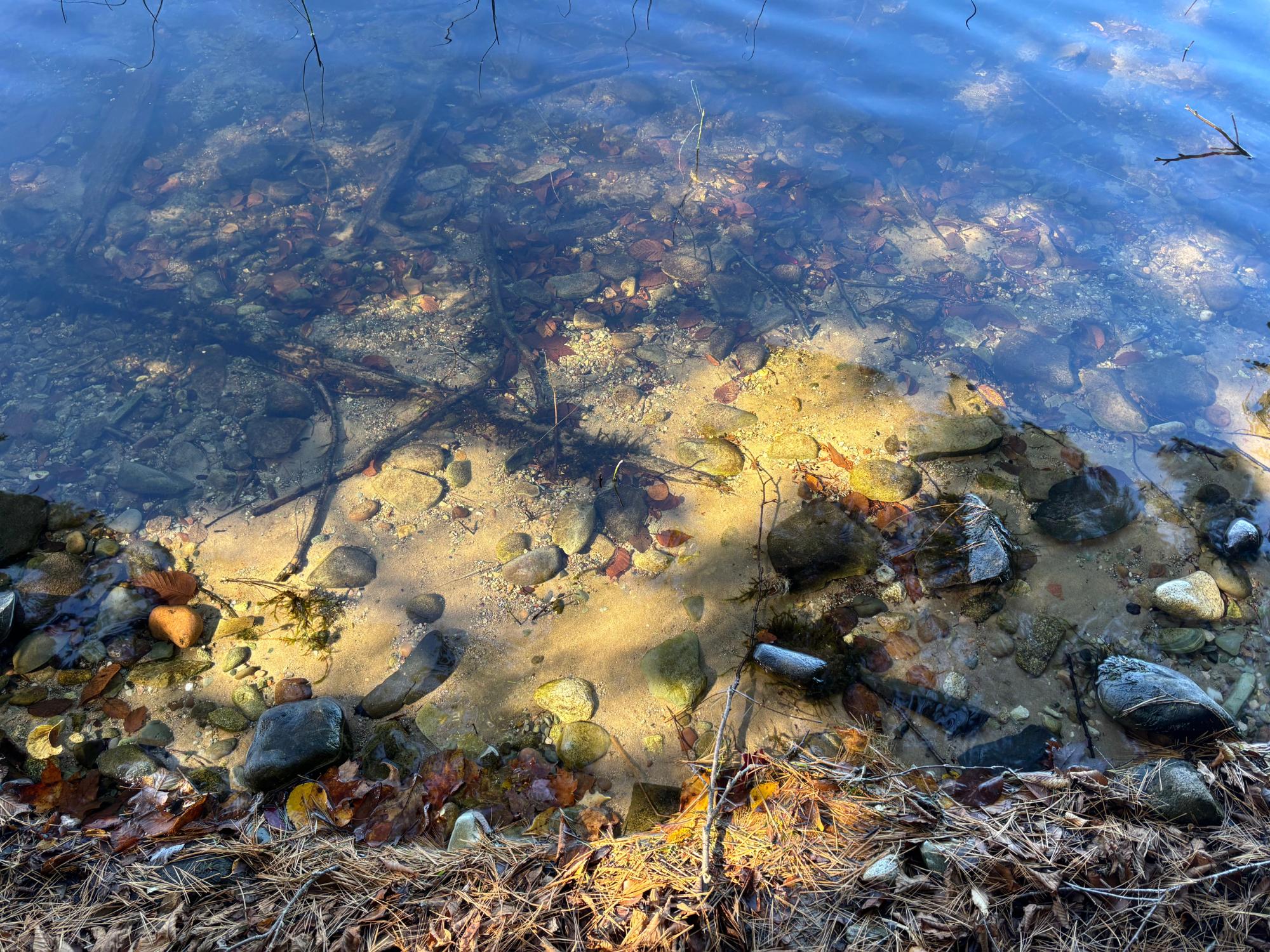 Lot 21 NICOLET SHORES LN