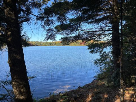 Lot 21 NICOLET SHORES LN Phelps WI 54554