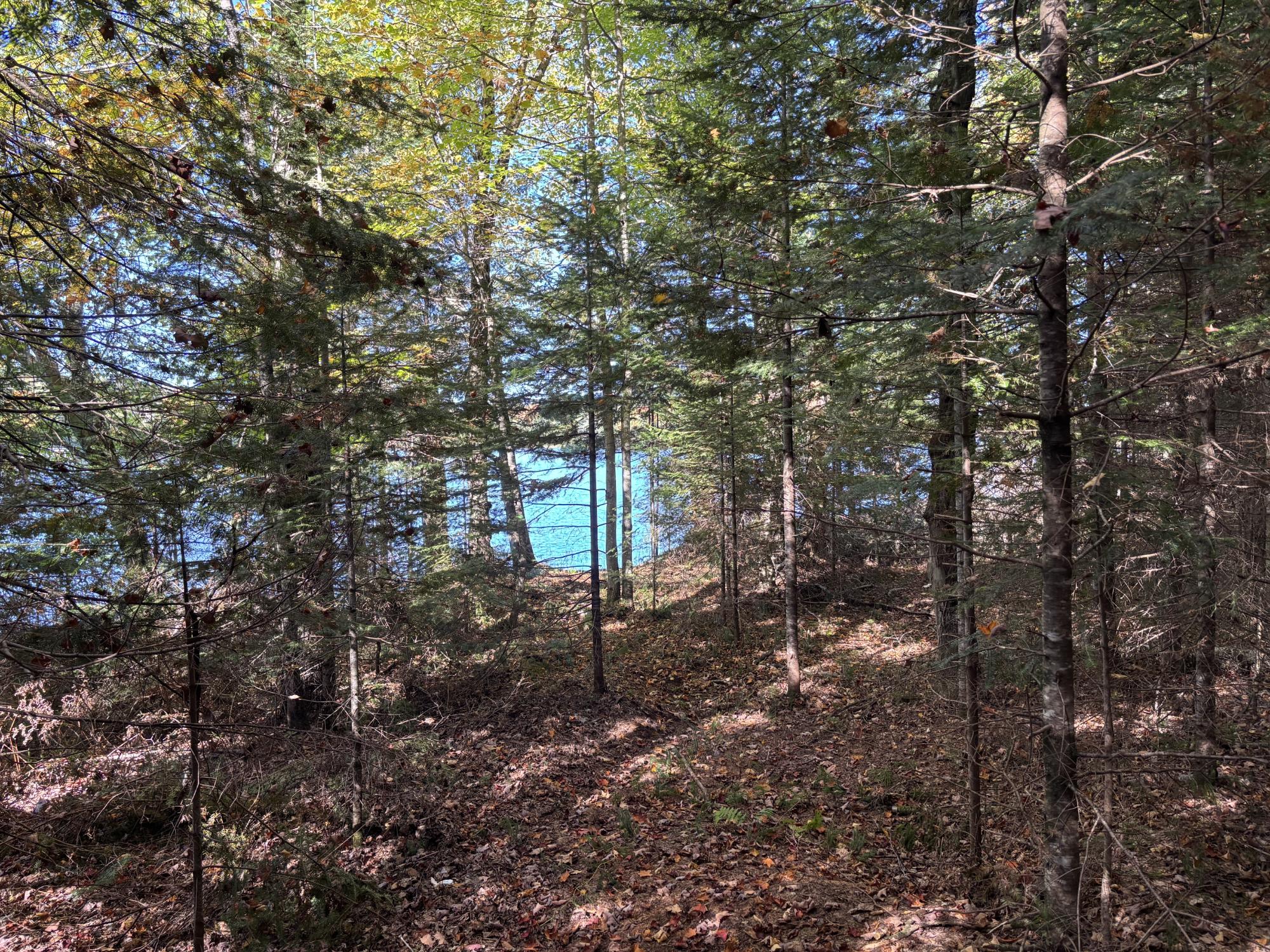 Lot 21 NICOLET SHORES LN