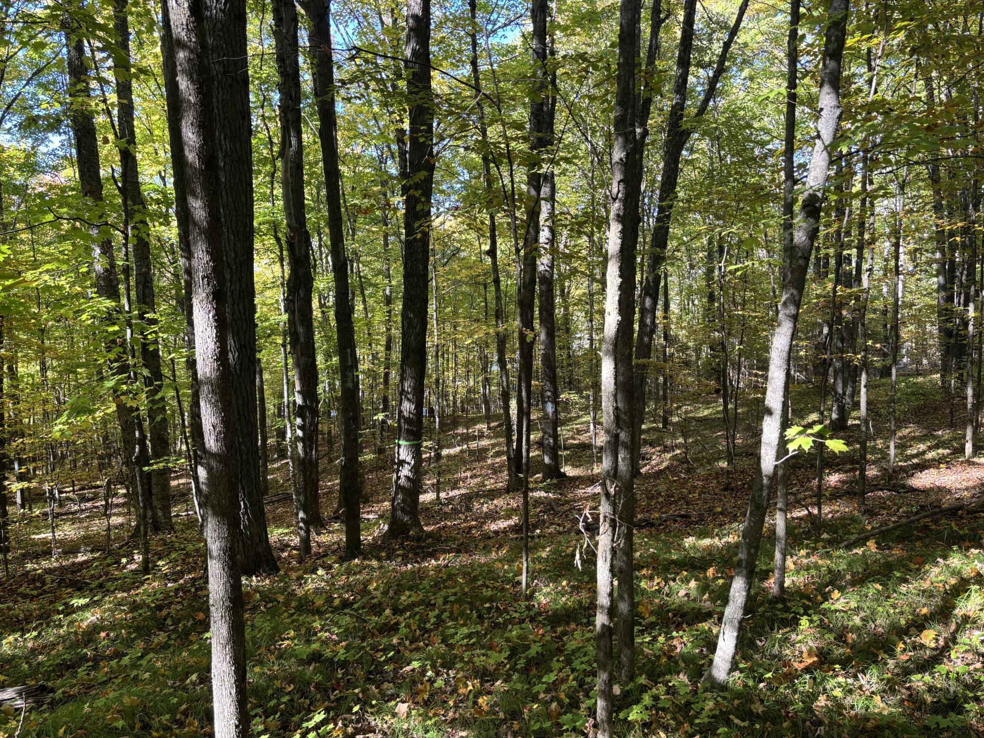 Lot 21 NICOLET SHORES LN