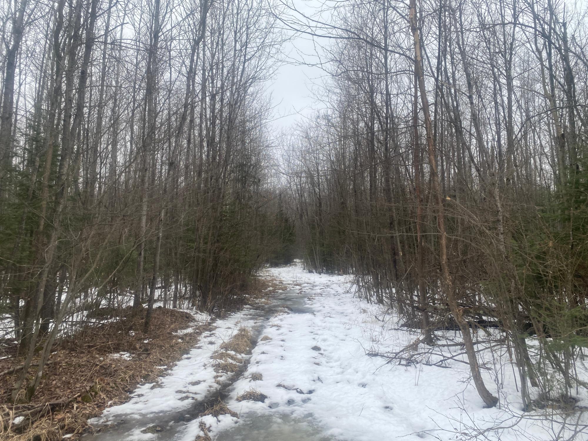 NEAR SPRING BROOK AVE