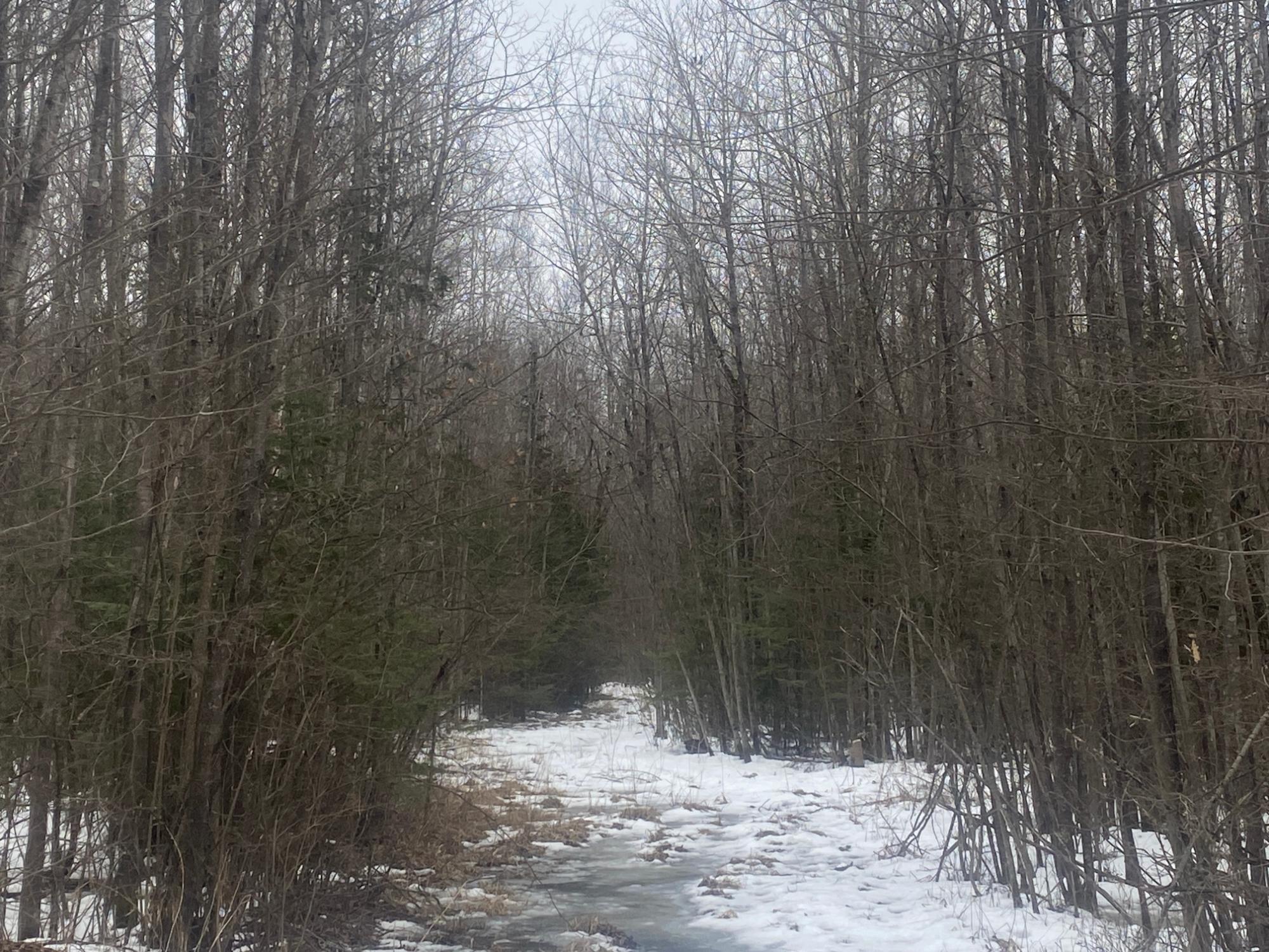 NEAR SPRING BROOK AVE