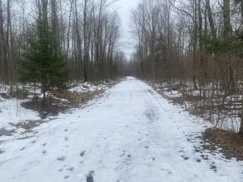 NEAR SPRING BROOK AVE Merrill WI 54452