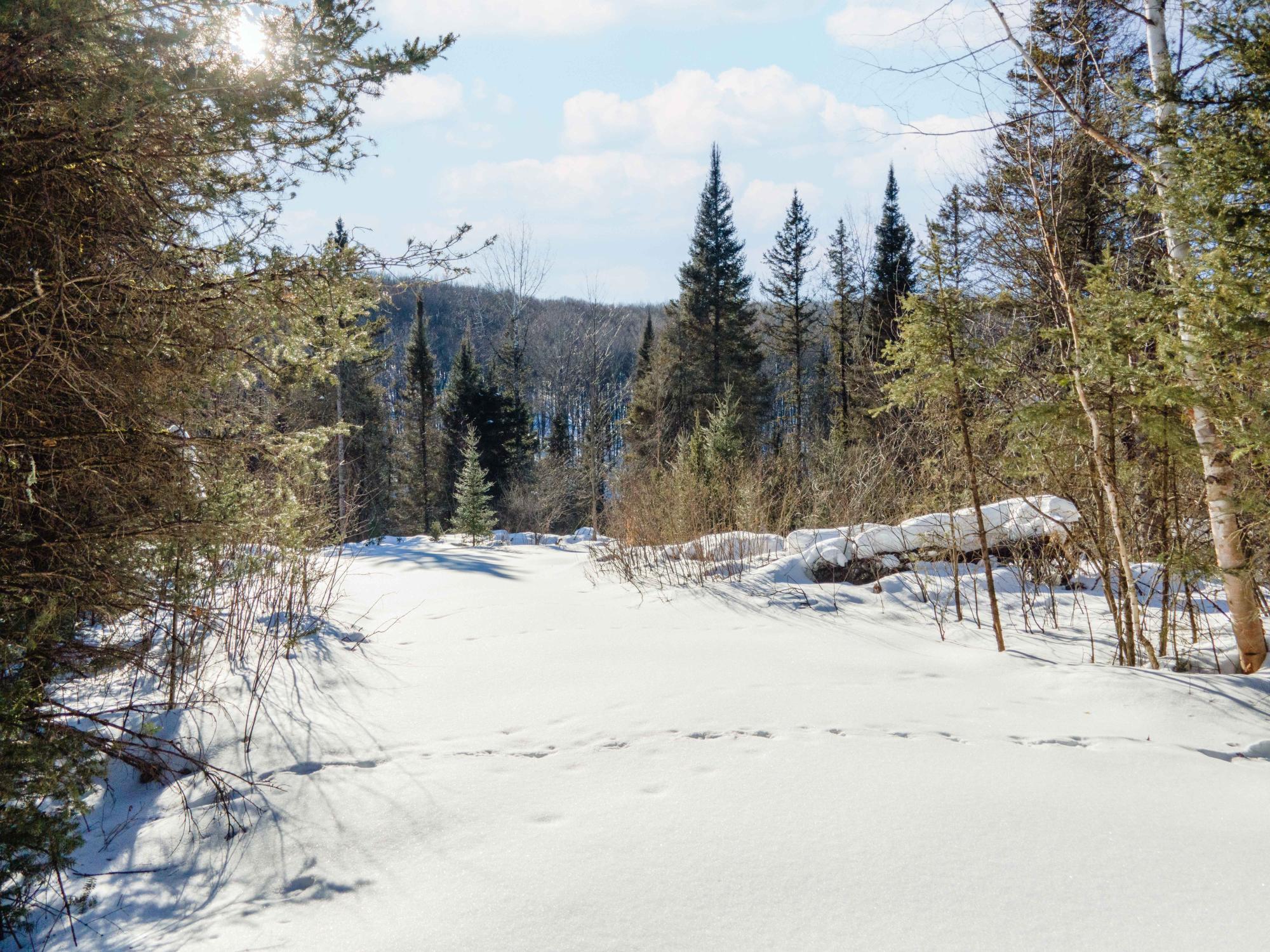 Lot 30 RIVER COUNTRY RD