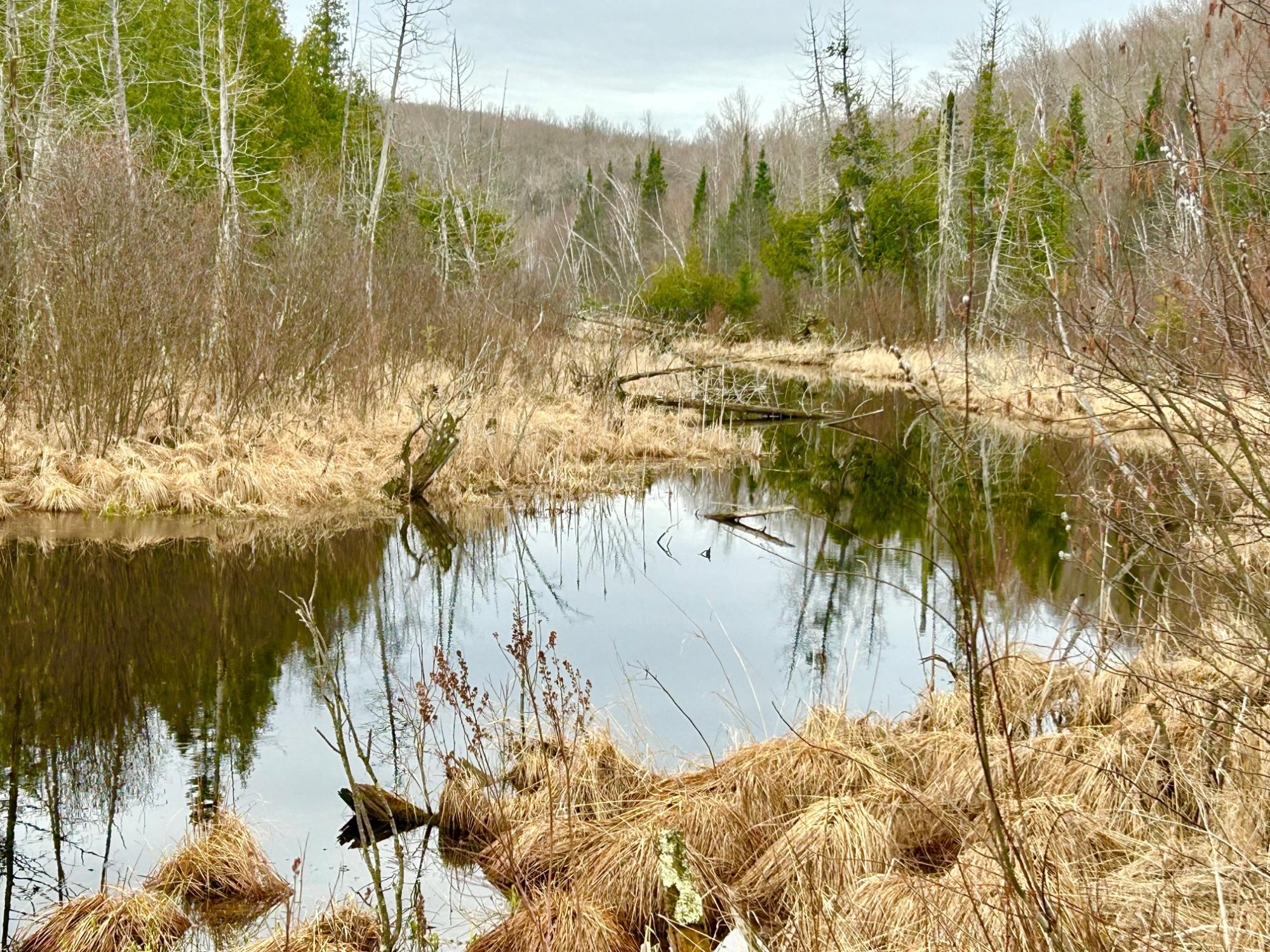 ON BERRY LN 20 ACRES