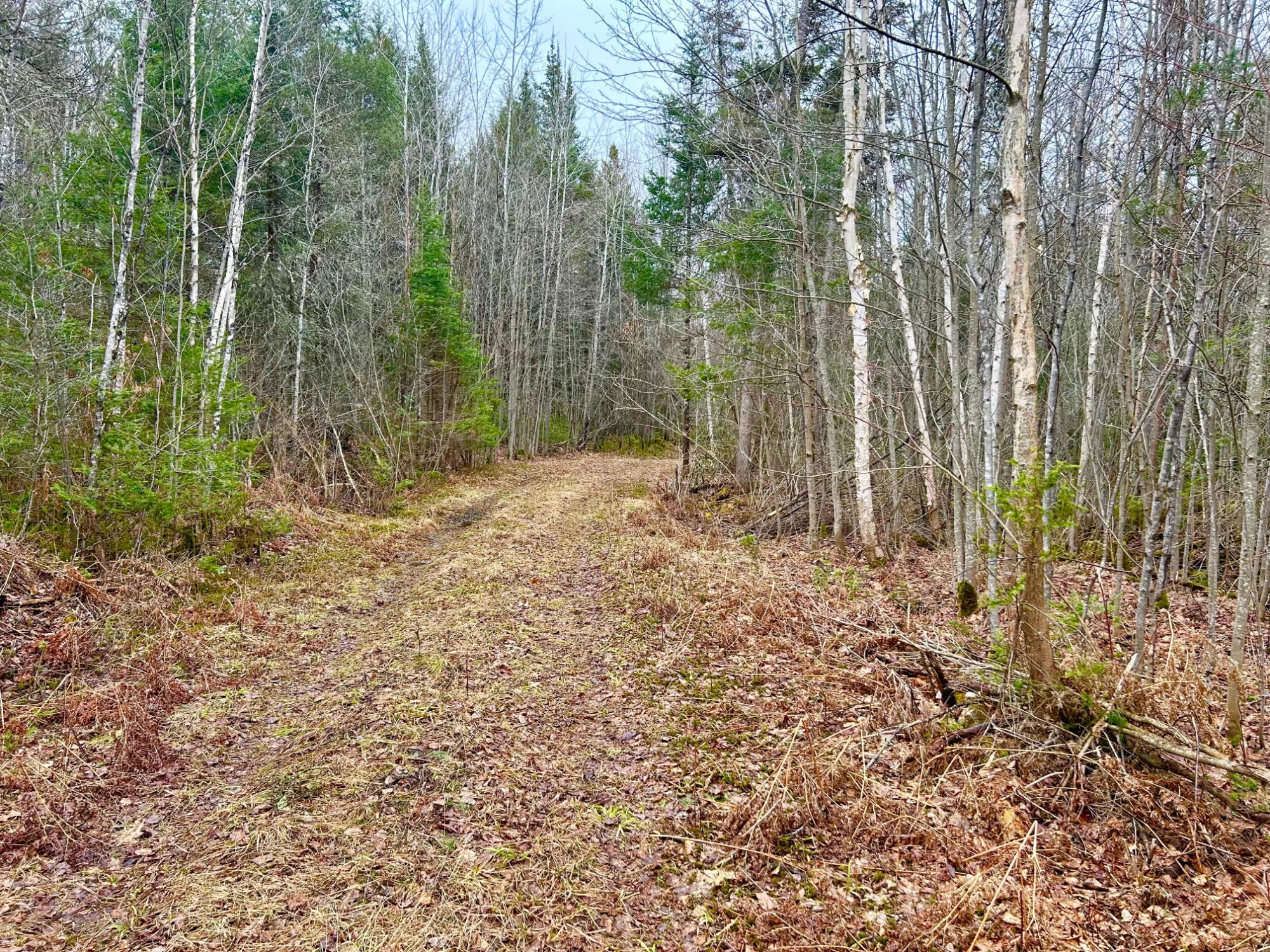 ON BERRY LN 20 ACRES