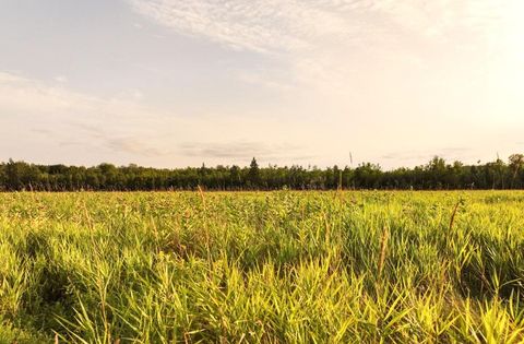 ON SURING LN 31 ACRES Argonne WI 54511