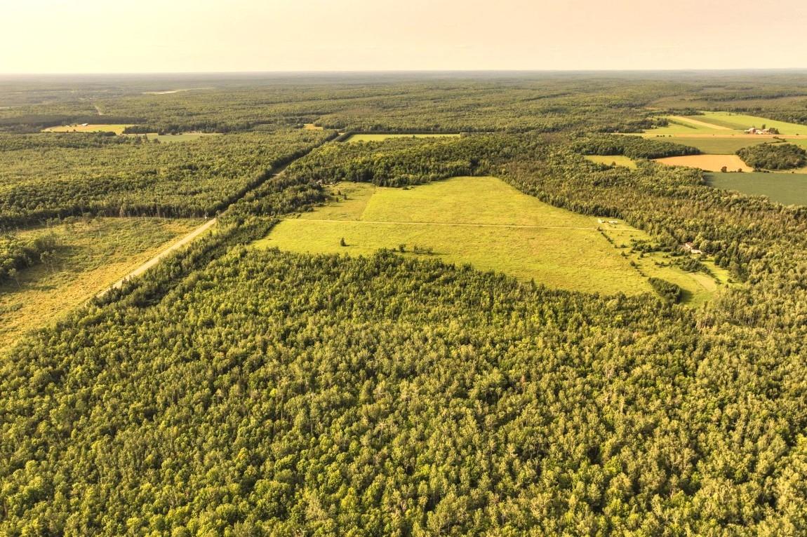 ON SURING LN 31 ACRES