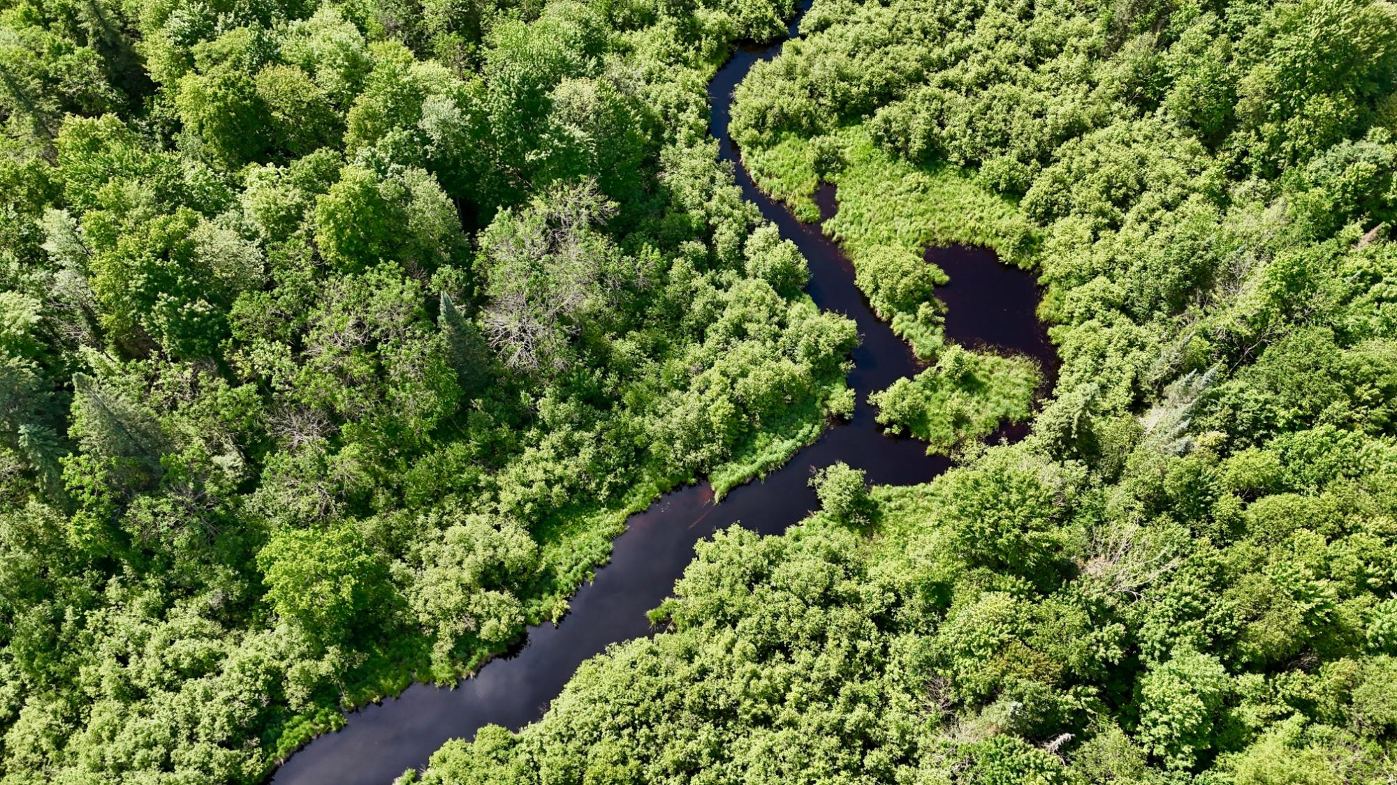 N2410 KIENBAUM RD 2410