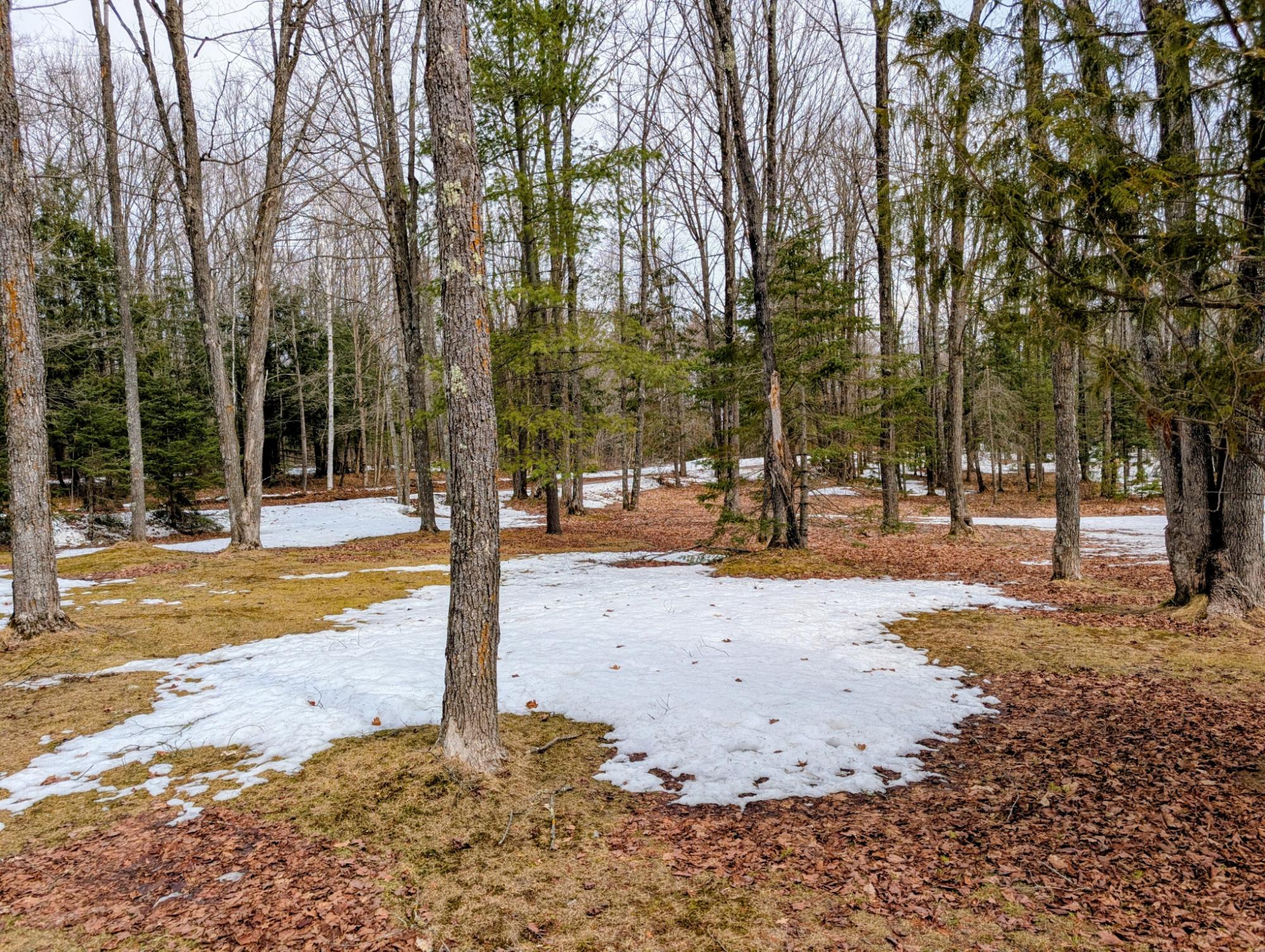 W2371 NEWMAN LAKE RD N