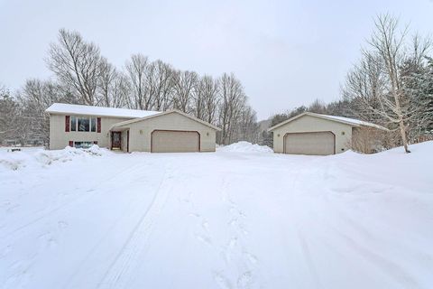 183555 OLD LAKE RD Birnamwood WI 54414