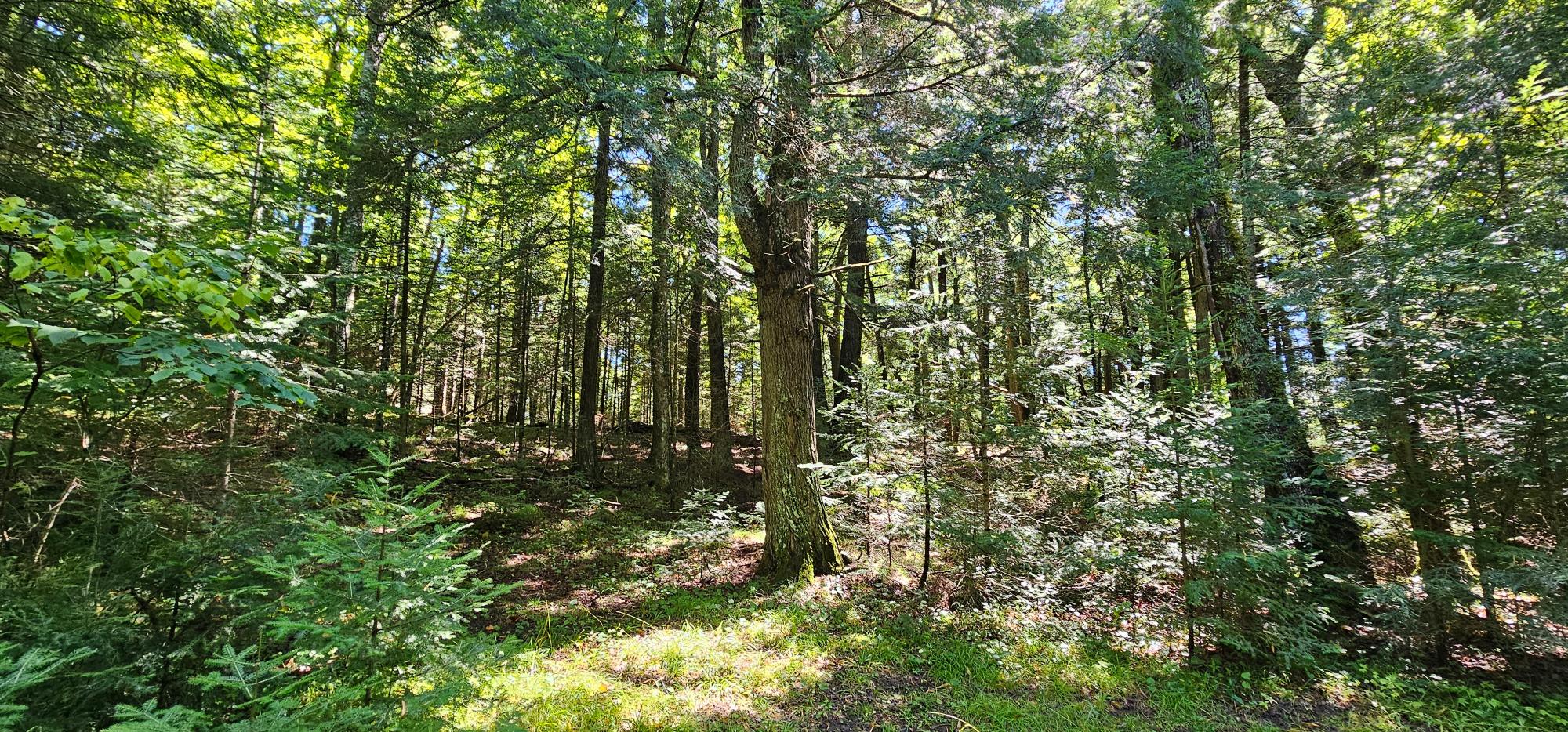 Lot4 off GOLF COURSE DR