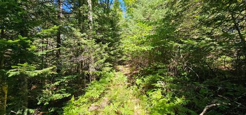 Lot4 off GOLF COURSE DR Mercer WI 54547