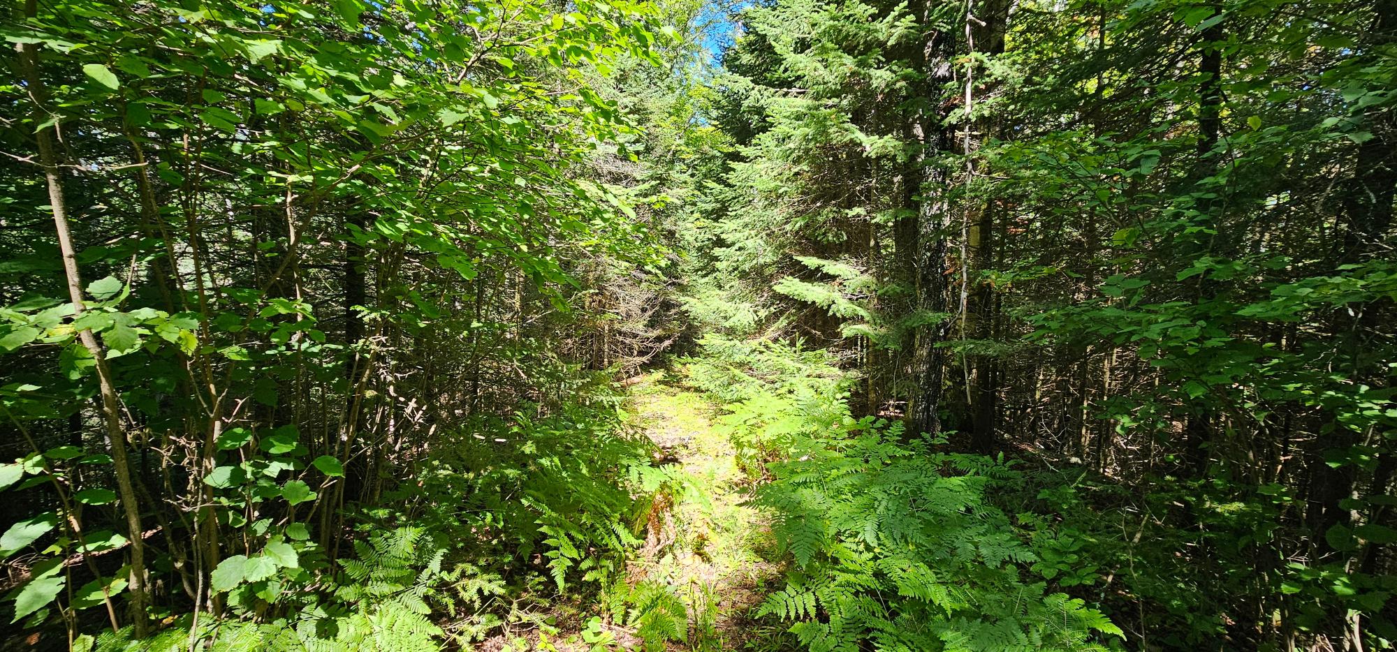 Lot4 off GOLF COURSE DR