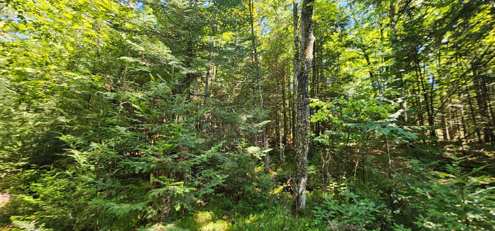 Lot4 off GOLF COURSE DR